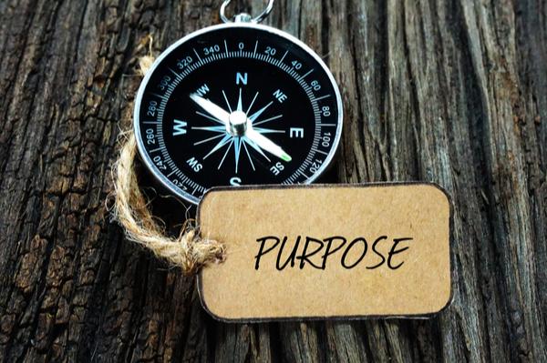 3. Purpose