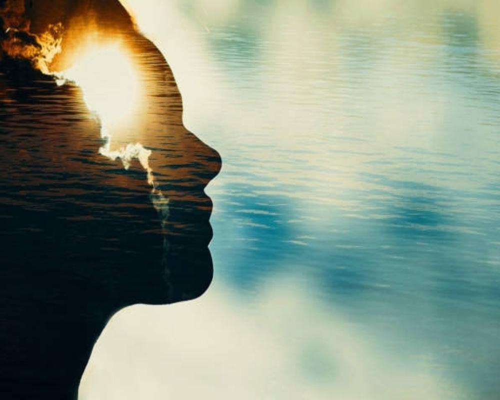 Make Your Mind a Beautiful Place