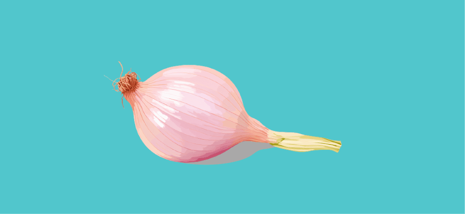 The Self-Awareness Onion