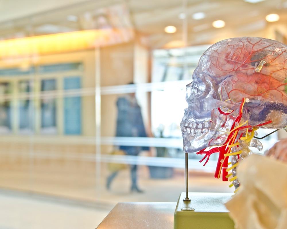 Brain, Mind, and Body in the Healing of Trauma
