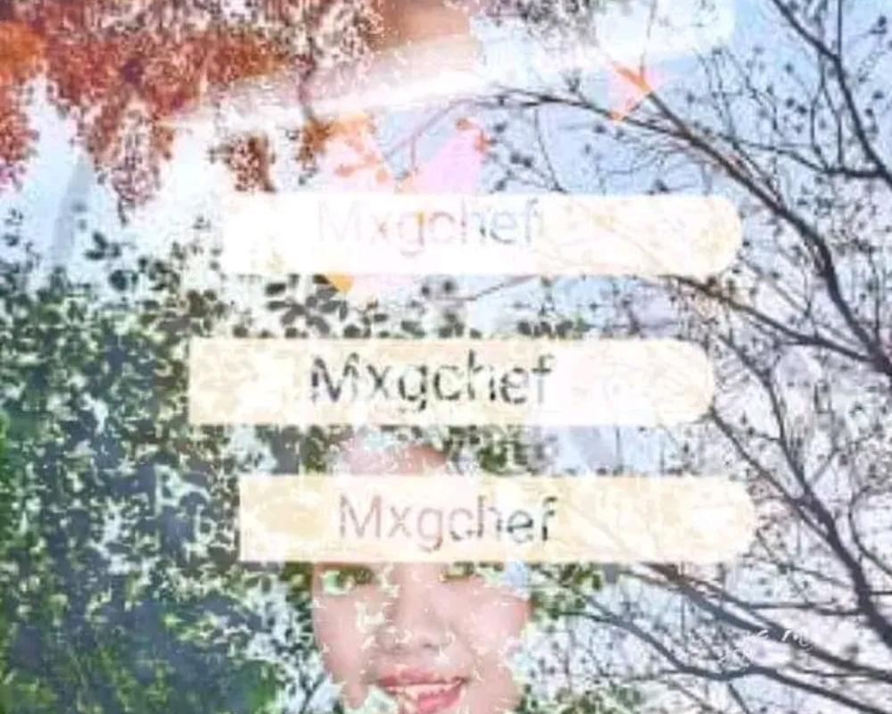 GHICABALZA(MXGCHEF)