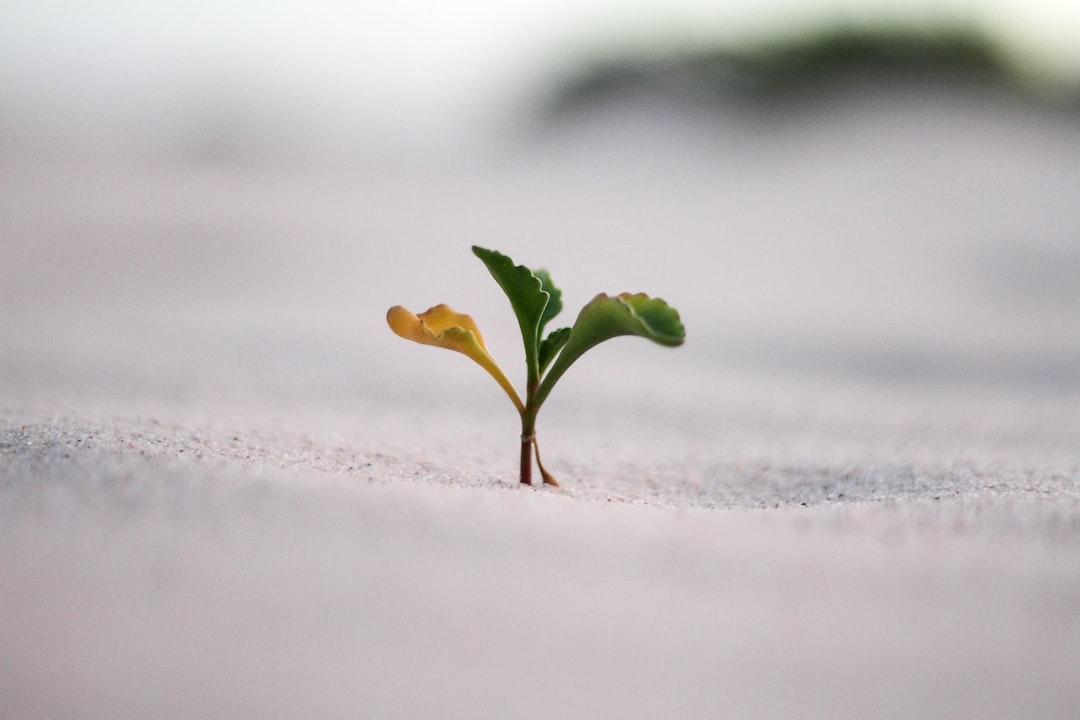 Rest and Recovery: Integral to Growth