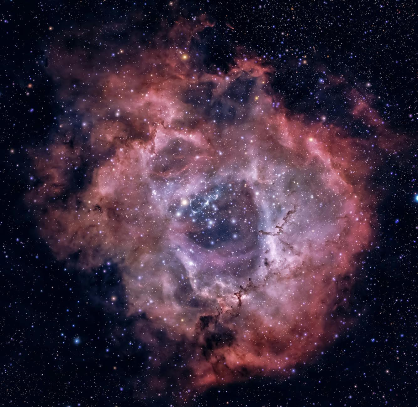We Are Stardust