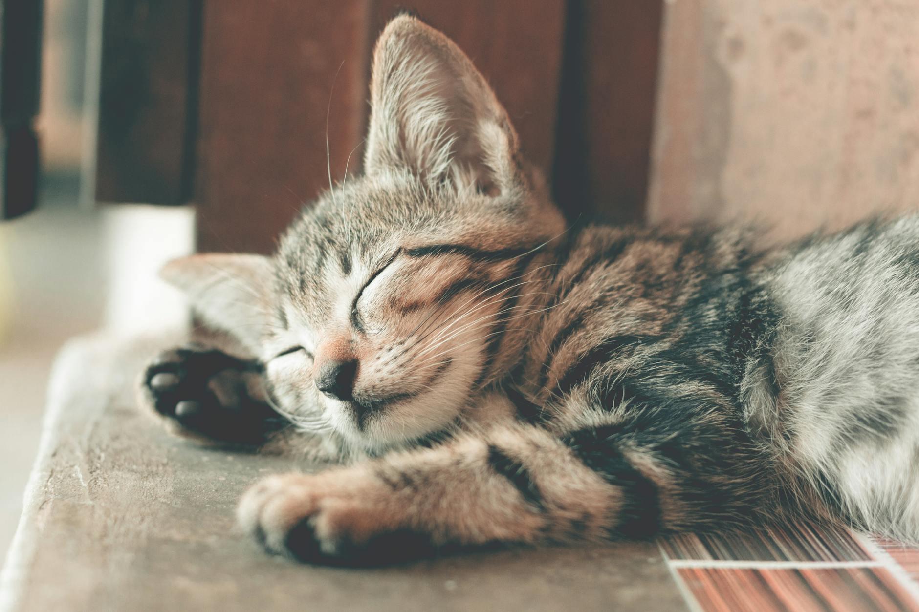 Tips for Mental Rest