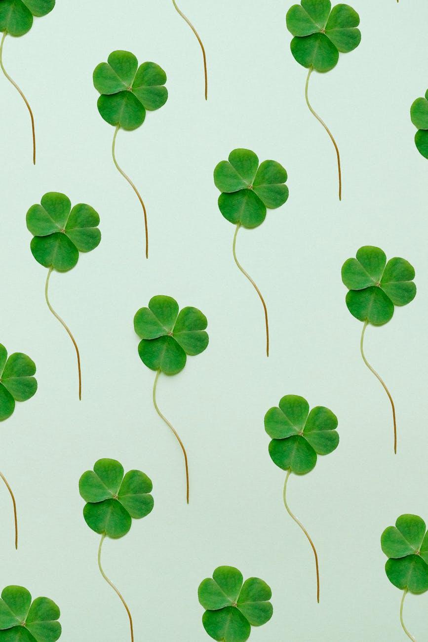 Luck & Risk Shape Financial Success 🎲