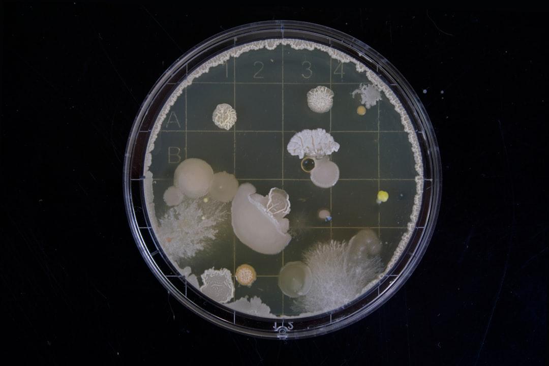 Science is humanity’s story not just Europe’s.