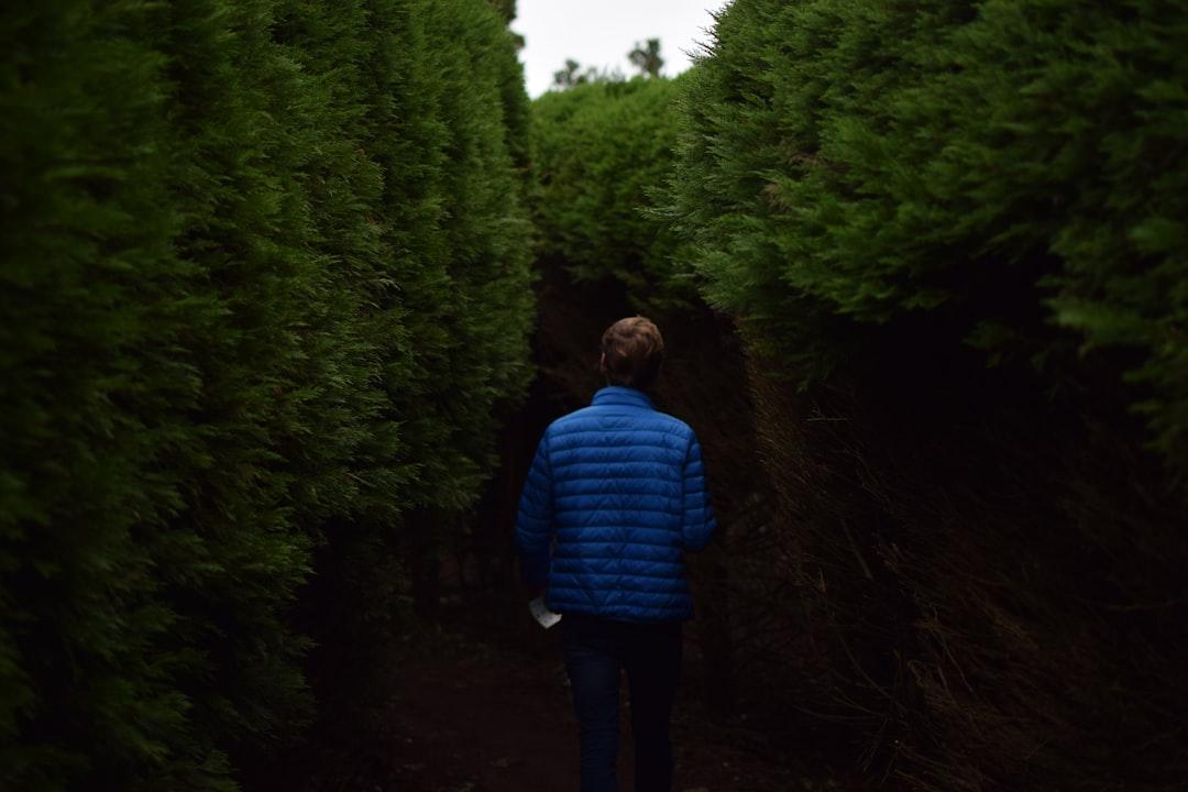 Step Back-Way Back