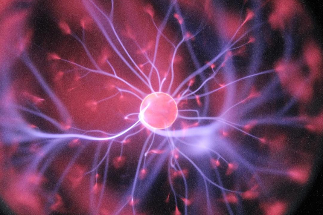 How Our Minds Work: Balancing Instinct and Reason for Better Decisions