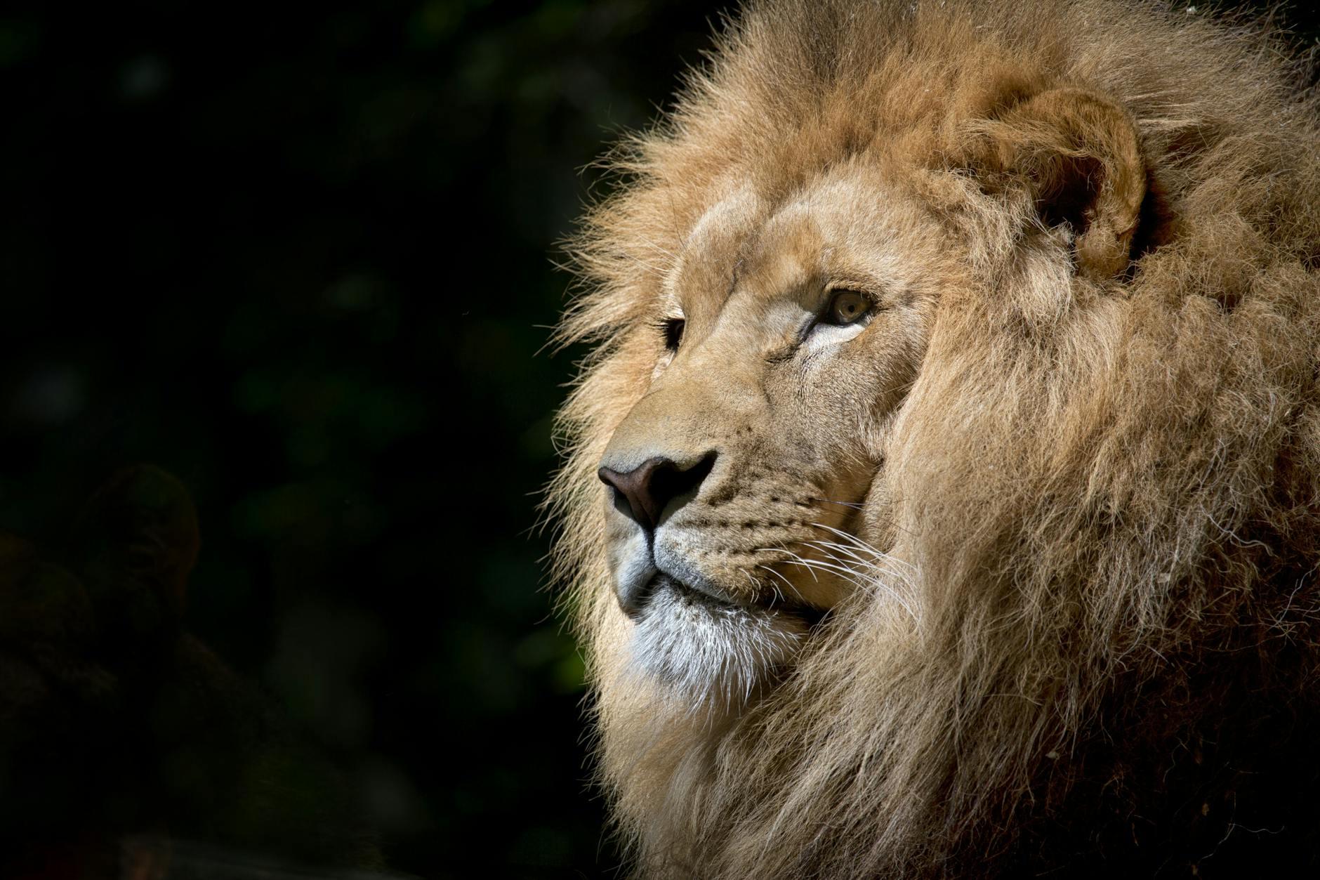 Self-Confidence and Presence