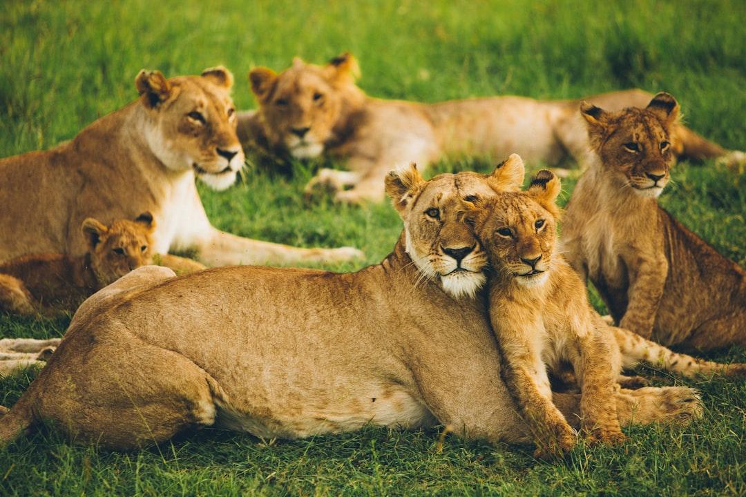 Protect Your Tribe