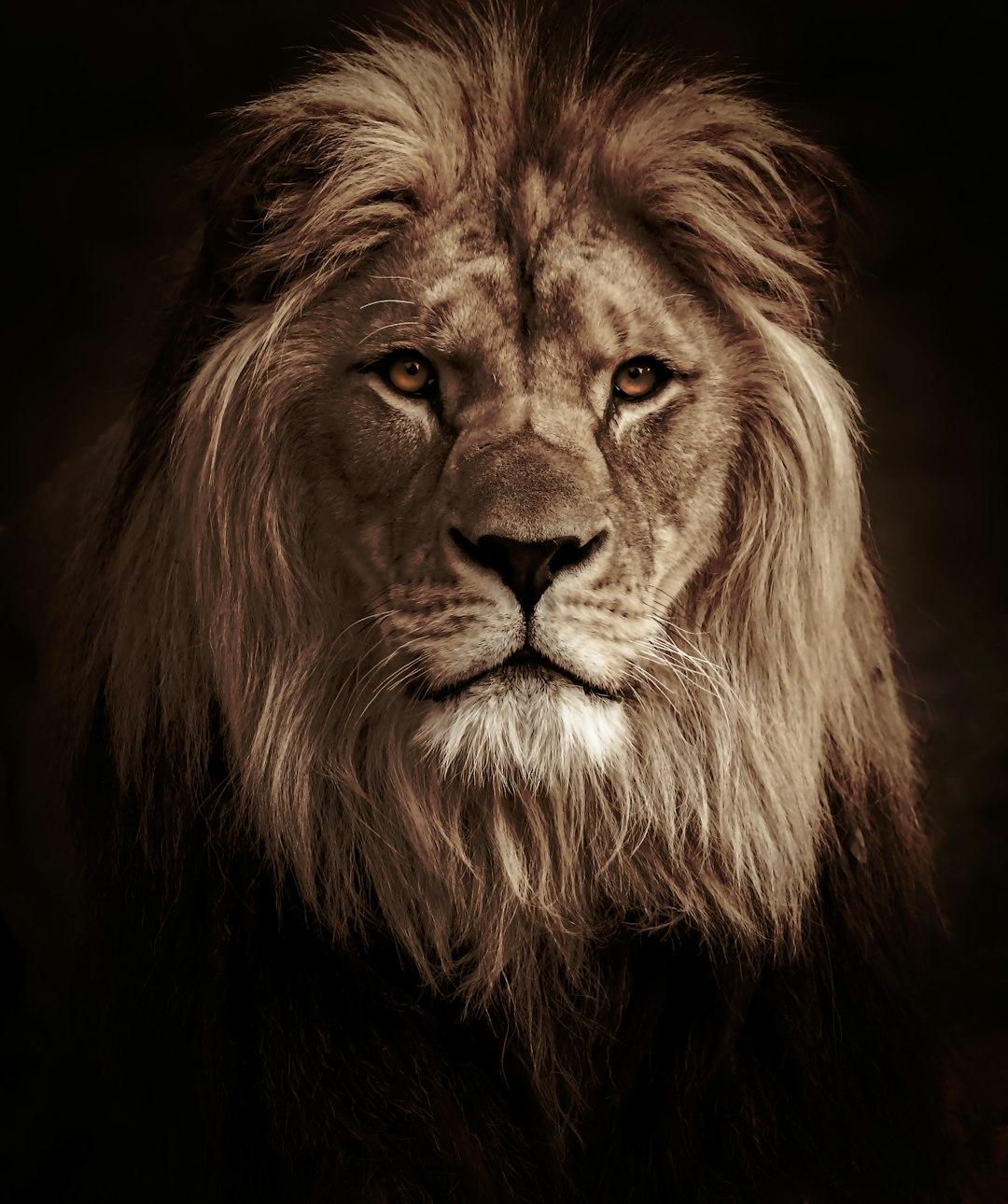 Power means nothing without self-control