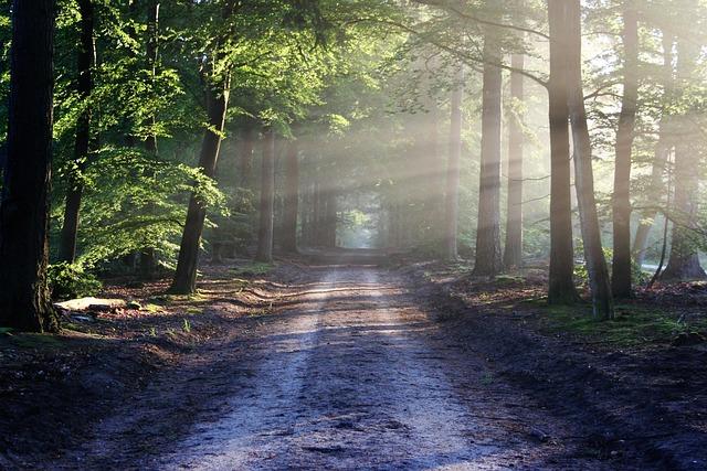 Letting go of perfectionism:
