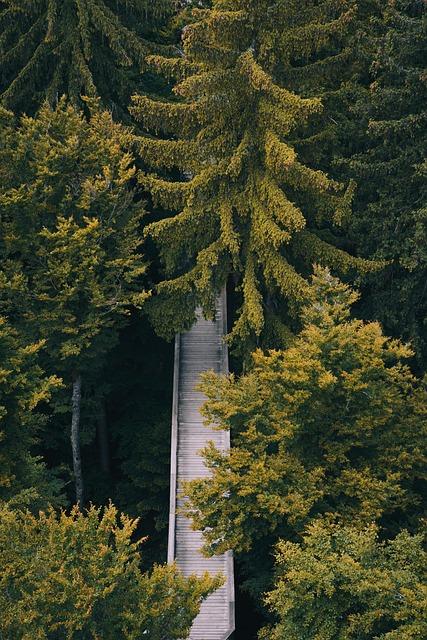 Clearer Path