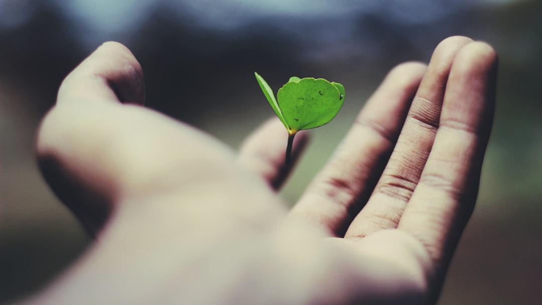 Mindset 2: Grow Your Productivity System Like a Business