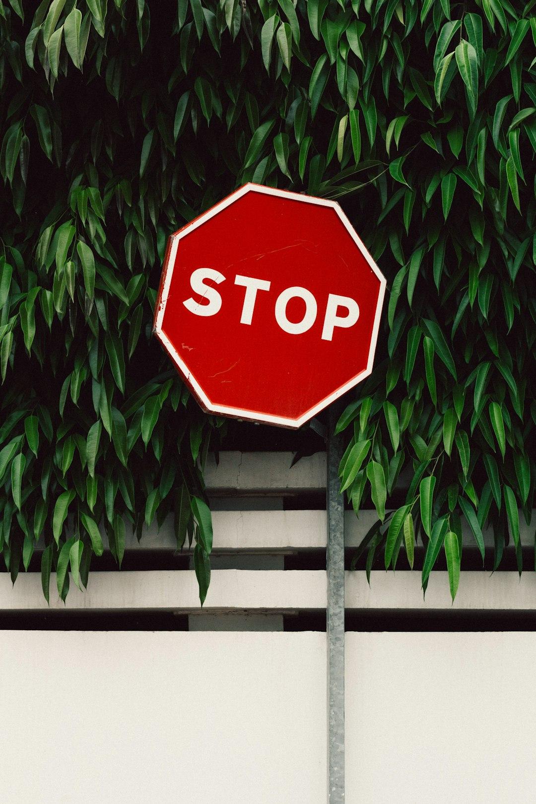 1. Stop Trying to Impress Anyone